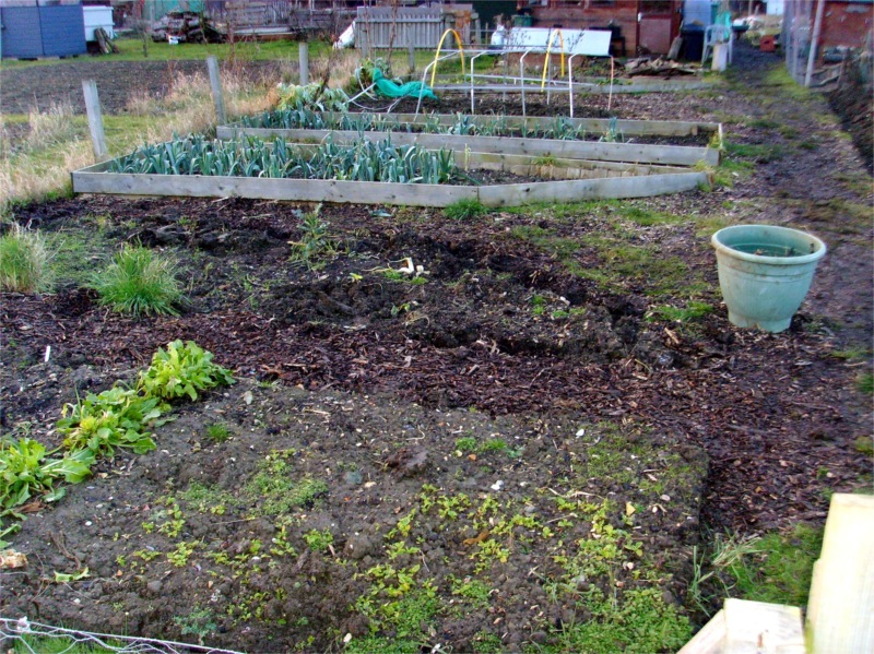 Allotment Heaven How to make a rat proof chicken feeder